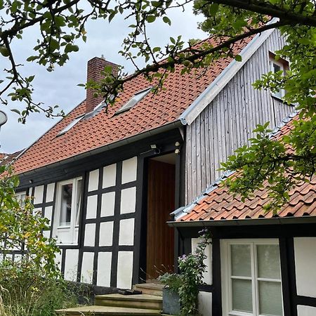 Apartament Lateinschule Tecklenburg Zewnętrze zdjęcie
