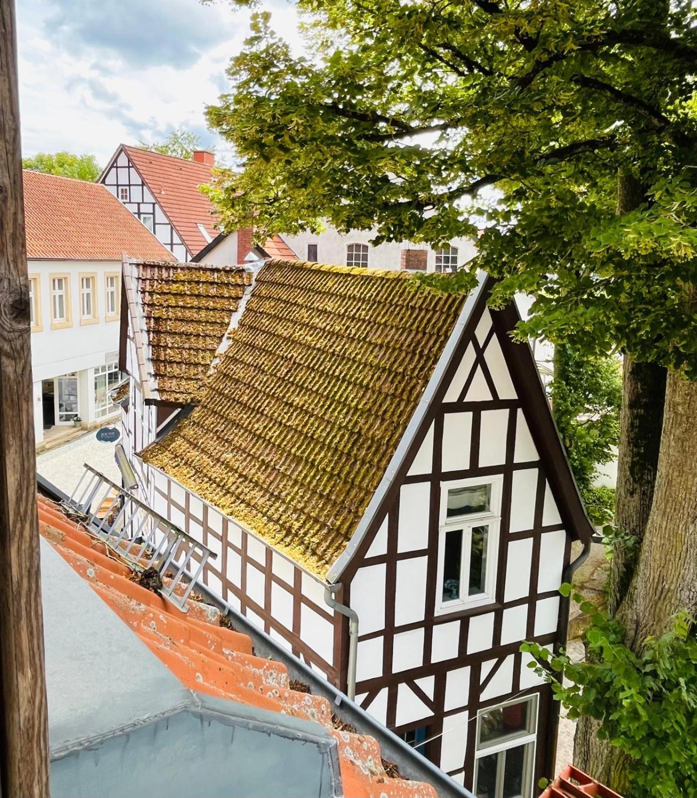 Apartament Lateinschule Tecklenburg Zewnętrze zdjęcie